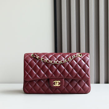 Chanel Red Quilted Leather Medium Classic Double Flap Bag size 25cm