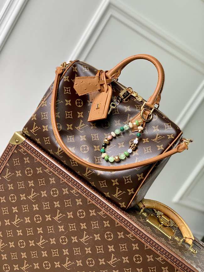 LV Speedy Soft 30 Boho Monogram Canvas size 30cm - 1