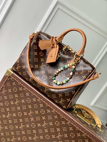 LV Speedy Soft 30 Boho Monogram Canvas size 30cm