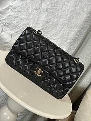 Chanel Classic Flap Bag in Black Caviar Leather Silver Hardware Size 25cm - 1