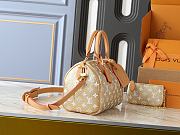 LV Speedy P9 Bandoulière 30 Gold Kinsugi Size 25 x 15 x 15cm  - 6