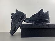 Air Jordan 4 “Black Cat” (2025) - FV5029-010 - 2