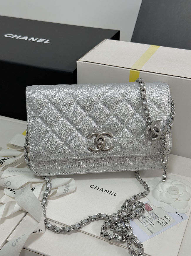 Chanel Wallet On Chain (WOC) Silver Caviar Size 19cm - 1
