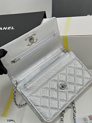 Chanel Wallet On Chain (WOC) Silver Caviar Size 19cm - 6