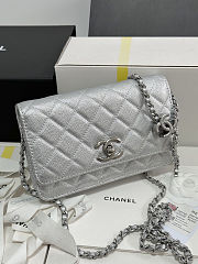 Chanel Wallet On Chain (WOC) Silver Caviar Size 19cm - 5