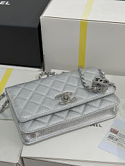Chanel Wallet On Chain (WOC) Silver Caviar Size 19cm - 3