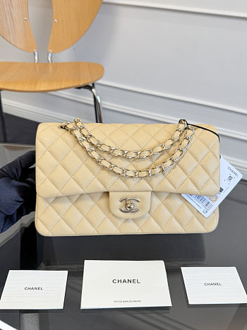 Chanel Beige Medium Classic Flap Bag Size 15.5x25.5x6.5cm