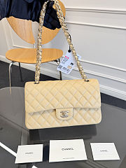 Chanel Beige Medium Classic Flap Bag Size 15.5x25.5x6.5cm - 3