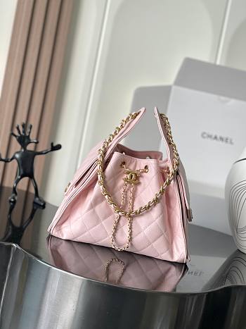 Chanel Light Pink Quilted Leather Small Hobo Bucket Bag Size 30x26x14cm