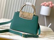 Louis Vuitton Emeraude Green Mini Python Capucines Size 27 x 18 x 9cm - 4