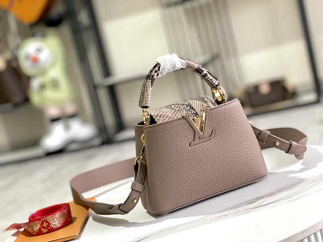 Louis Vuitton Taupe Leather and Python Capucines Mini Bag Size 21 x 14 x 8 cm - 1