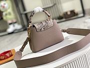Louis Vuitton Taupe Leather and Python Capucines Mini Bag Size 21 x 14 x 8 cm - 4