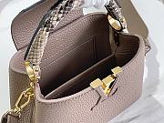 Louis Vuitton Taupe Leather and Python Capucines Mini Bag Size 21 x 14 x 8 cm - 3
