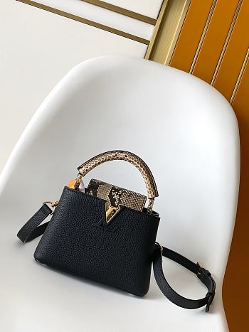 Louis Vuitton Black Leather Python Capucine Mini bag Size 21 x 13.6 x 8 cm
