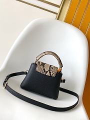 Louis Vuitton Black Leather Python Capucine Mini bag Size 21 x 13.6 x 8 cm - 2