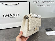 Chanel Beige Quilted Caviar Medium Classic Double Flap Bag Size 25x16cm - 5