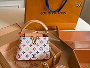 Louis Vuitton Murakami 2025 Capucine Rare Size 20×14cm - 1