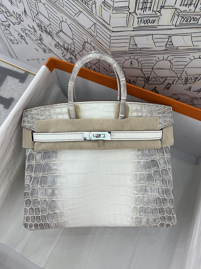 Hermès Birkin 25 Himalaya Niloticus Crocodile Diamond Encrusted Hardware Size 25 cm - 1