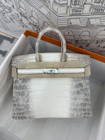 Hermès Birkin 25 Himalaya Niloticus Crocodile Diamond Encrusted Hardware Size 25 cm