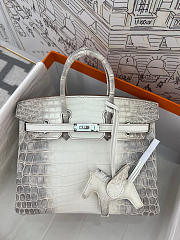 Hermès Birkin 25 Himalaya Niloticus Crocodile Diamond Encrusted Hardware Size 25 cm - 3