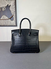 Hermes Birkin 25 Matte Alligator 89 Noir Size 25x20x13 cm - 5