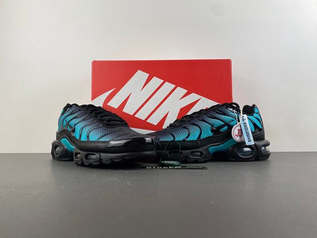 Nike Air Max Plus ‘Black Aurora Green’ DM0032-016 - 1