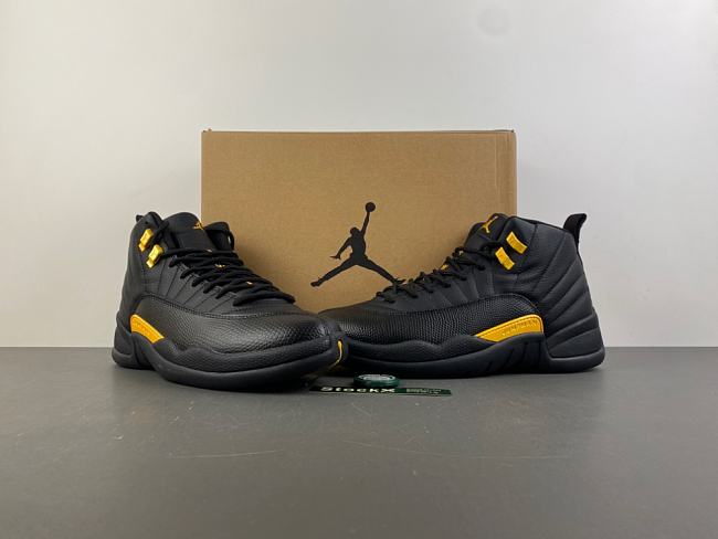 Air Jordan 12 