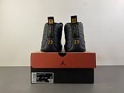 Air Jordan 12 
