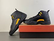 Air Jordan 12 