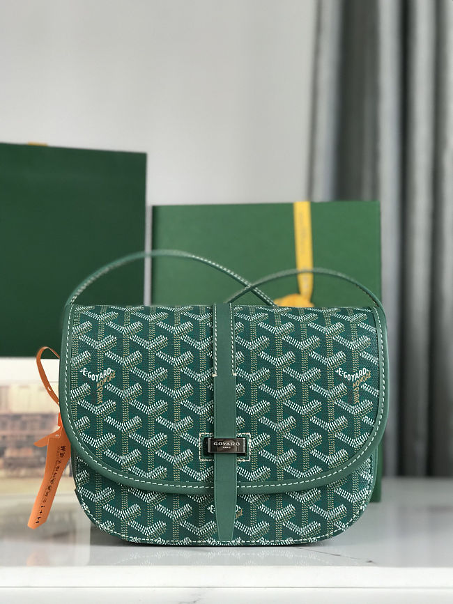 Goyard 233 Messenger Goyardine PM Green Size 21x16x6cm - 1