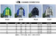 KAWS x The North Face Retro 1994 Himalayan Parka - 2