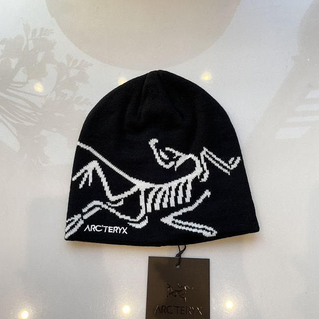 Arc'teryx Bird Head beanie hat - 1