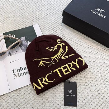 Arc'teryx Bird Word Toque - Phantasm / Euphoria